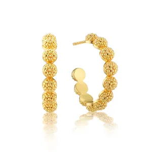 Berry Icon Small Hoops