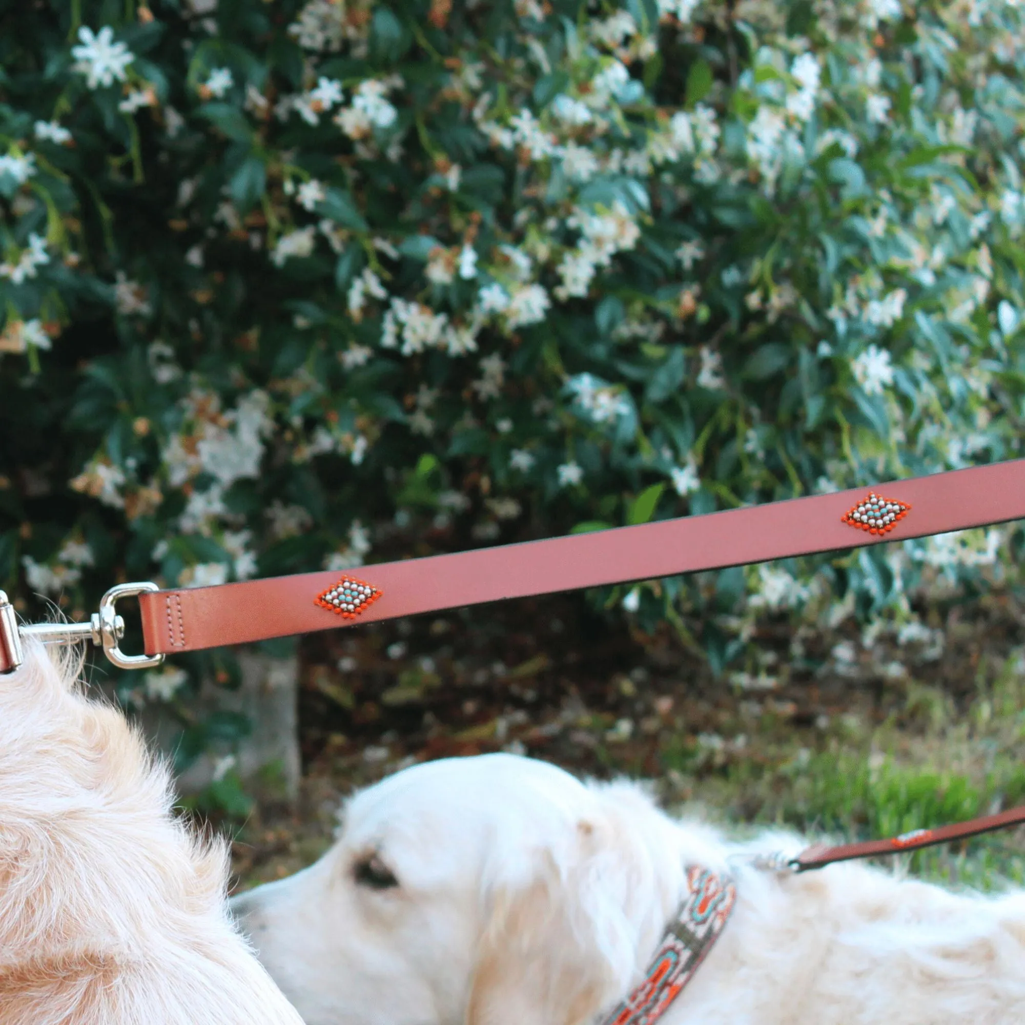 Boho Chic Leash and Bag Bundle