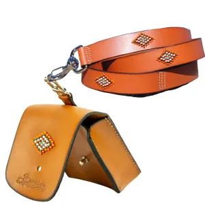 Boho Chic Leash and Bag Bundle