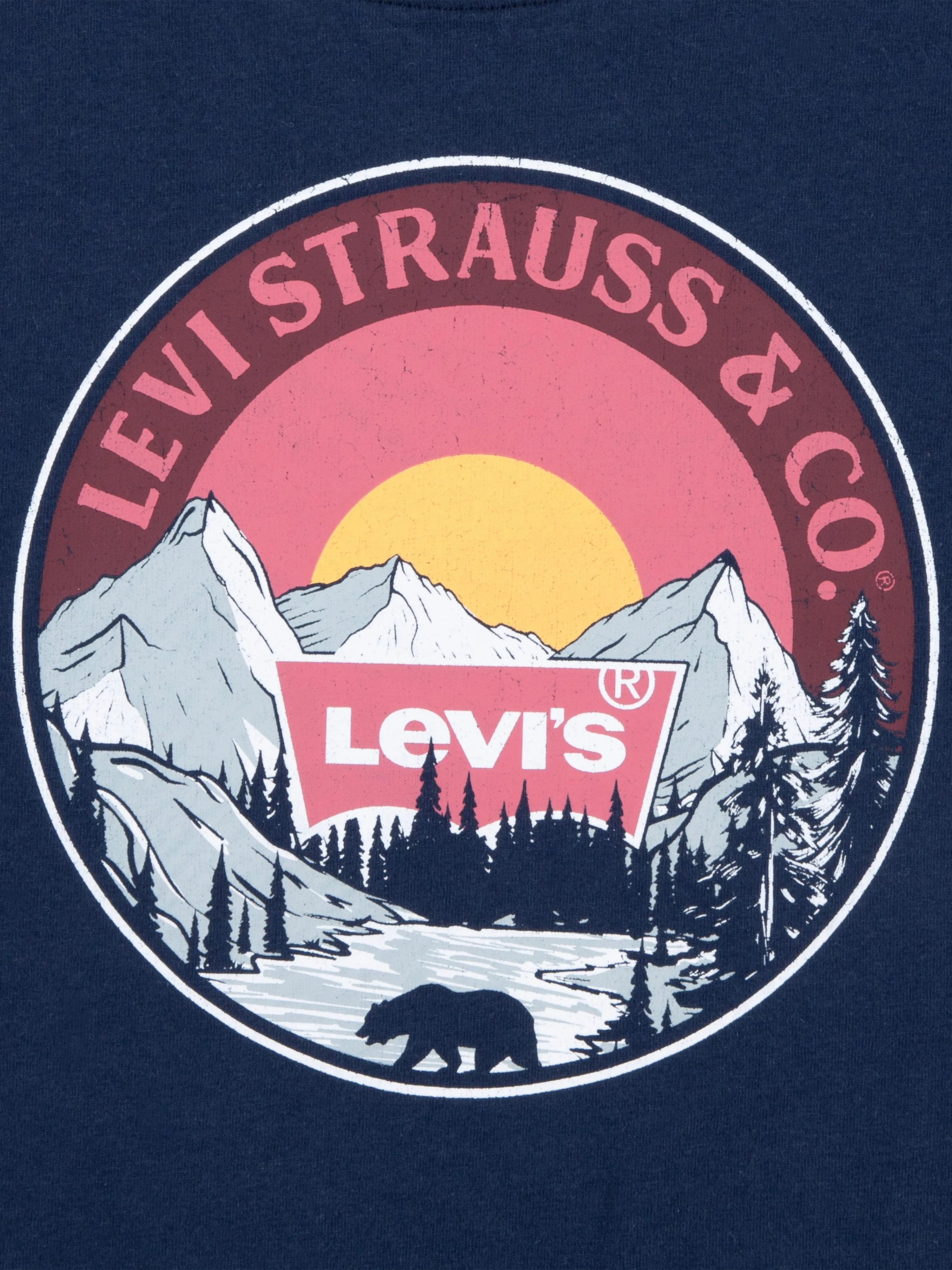 Boys Sunrise Over The Ridge T-Shirt in Navy