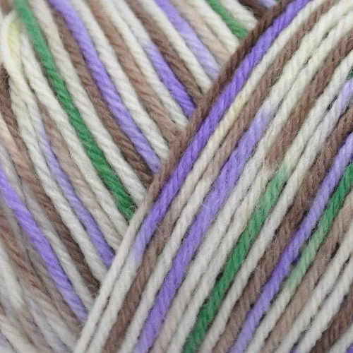 Brown Sheep Wildfoote Luxury Sock Fingering Yarn