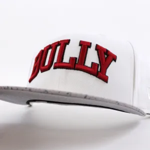 Bully New Era 59Fifty Fitted Hat (Glacial White Cement Speckled Air Jordan IV V White Cement OG Gray Under Brim)