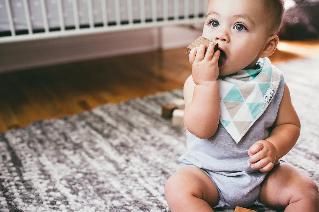 Copper Pearl Pacific Bandana Bib Set