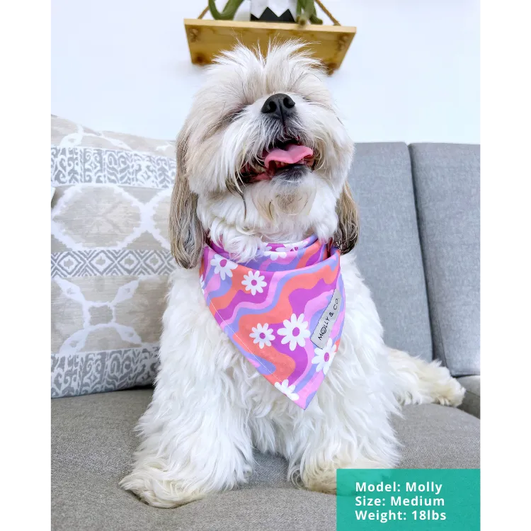 Daisy - Dog Bandana