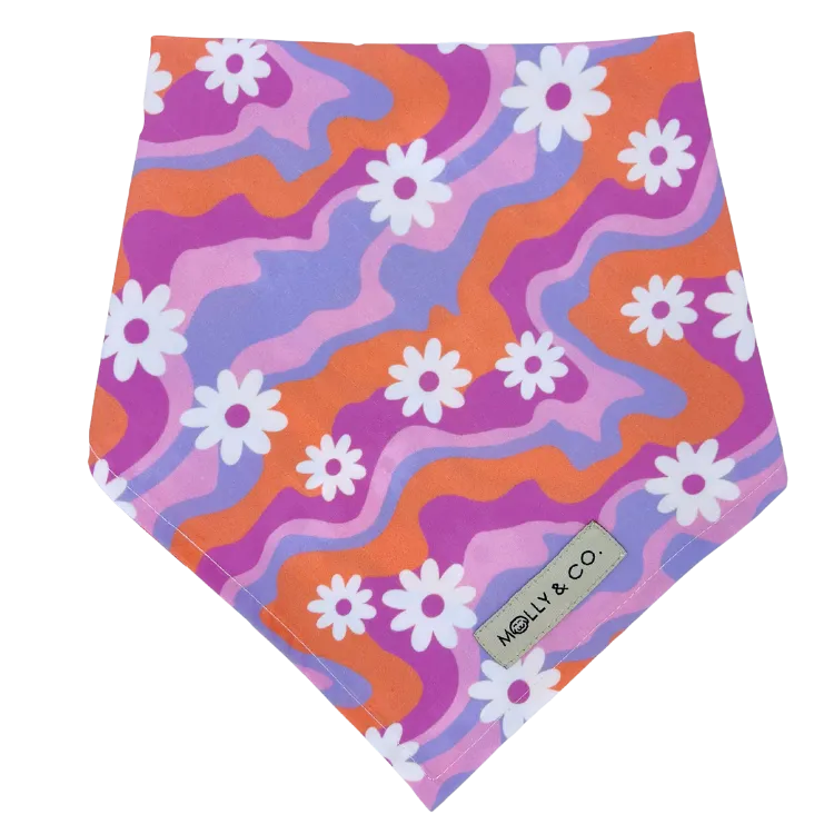 Daisy - Dog Bandana