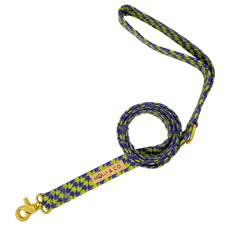 Fetch Master - Dog Leash