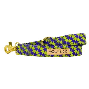 Fetch Master - Dog Leash