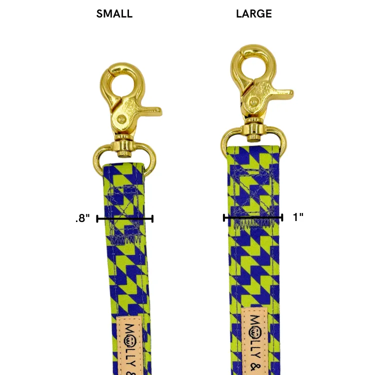 Fetch Master - Dog Leash