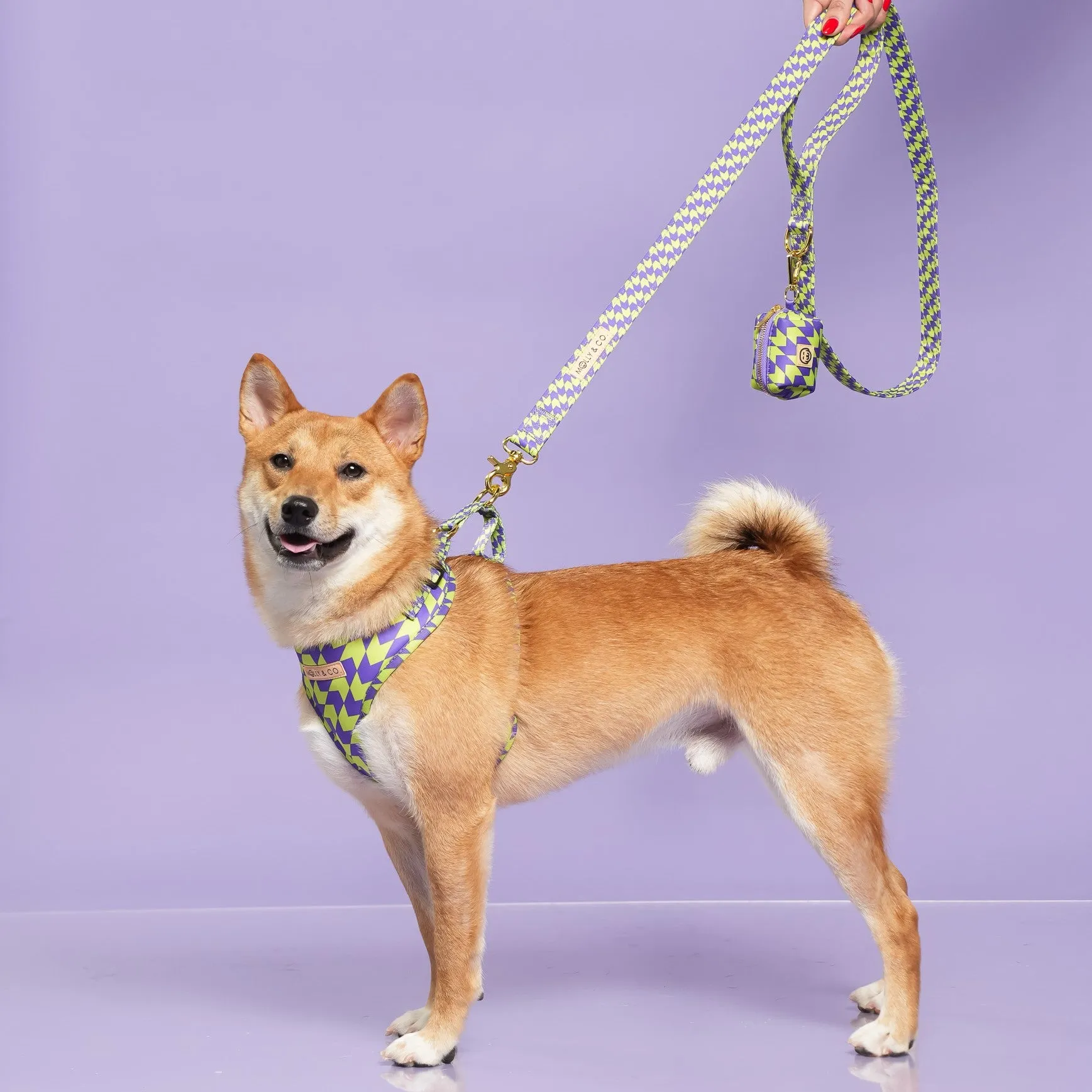 Fetch Master - Dog Leash