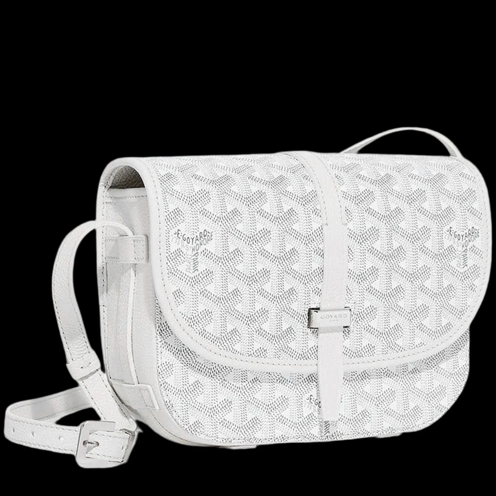 Goyard belvedere bag