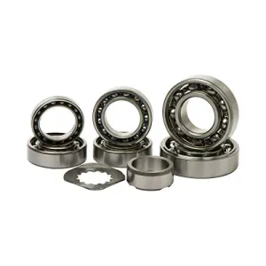 Hot Rods TBK007Transmission Bearing Kits (TBK0107)