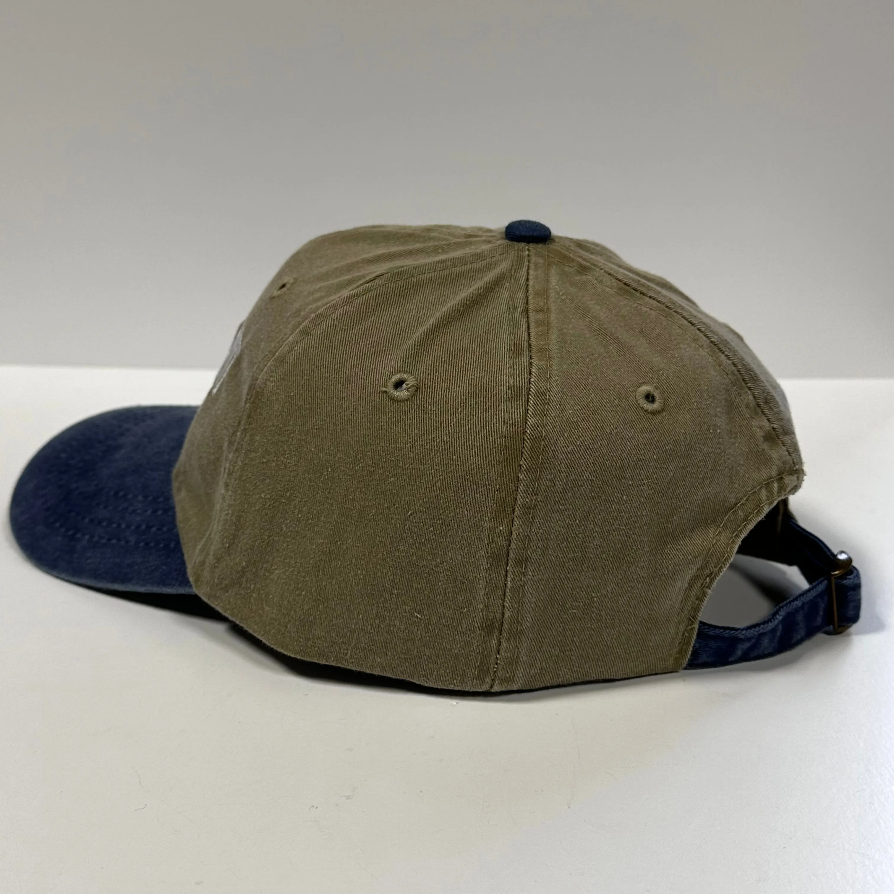 I DROPPED OUT OF COLLEGE Tan Classic Soft Crown Novelty Retro Adjustable Dad Hat Cap Funny Custom Embroidered