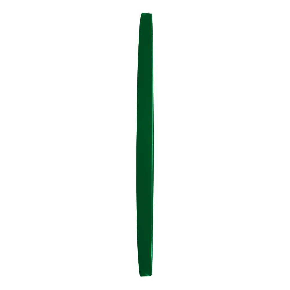 Miami Hurricanes: Mascot - Modern Disc Mirrored Wall Sign