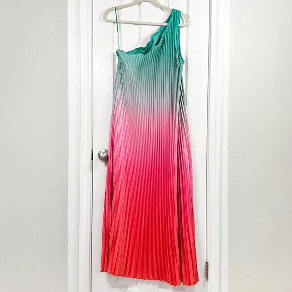 Nicole Miller Size Large Green Pink Red Ombré Pleated One Shoulder Maxi …