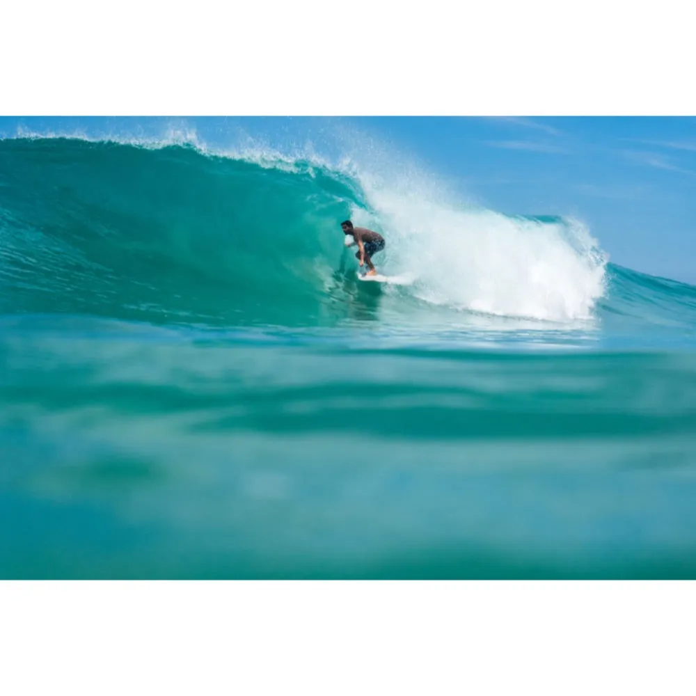 NSP ELEMENTS FISH 6'4 PURPLE