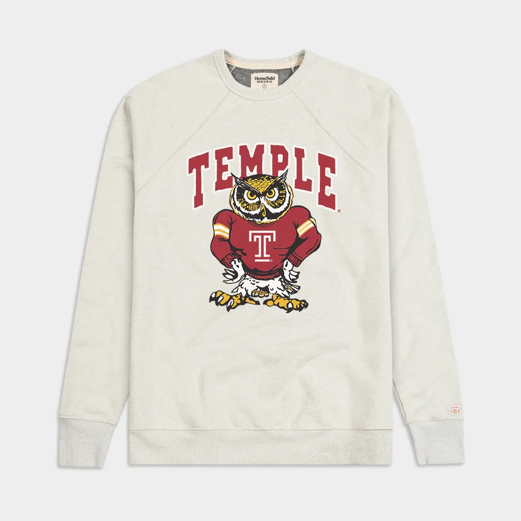 Retro Temple Owl Crewneck