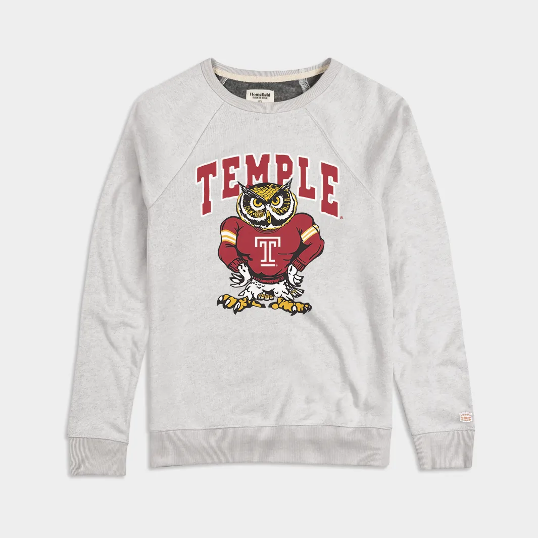 Retro Temple Owl Crewneck