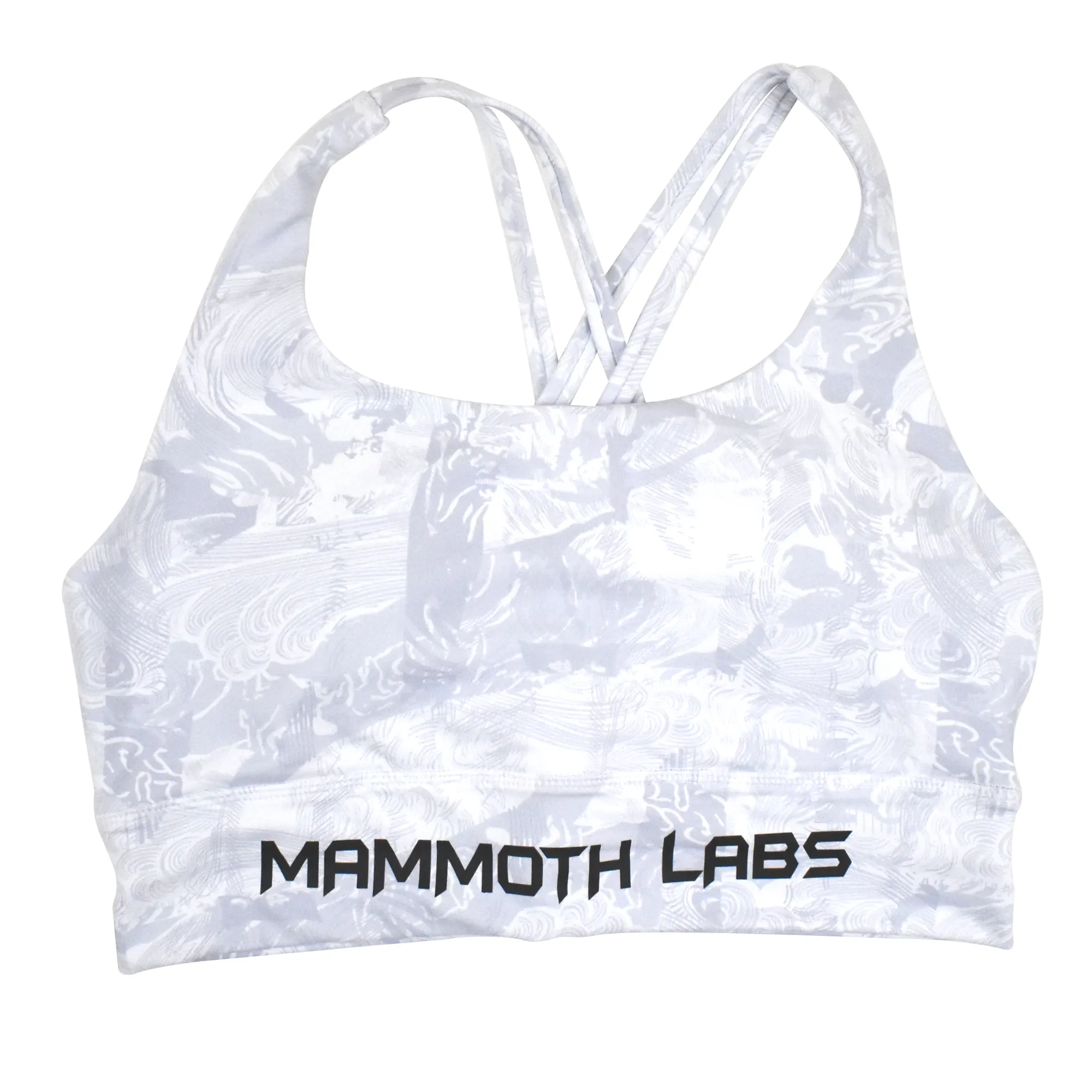 V2  Radiance Sports Bra