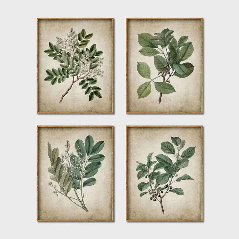 Vintage Plant Canvas Print Wall Art Set