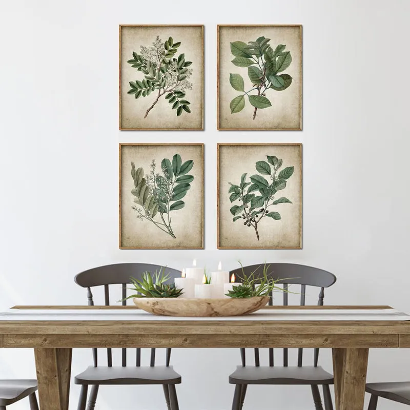 Vintage Plant Canvas Print Wall Art Set