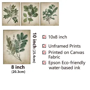 Vintage Plant Canvas Print Wall Art Set