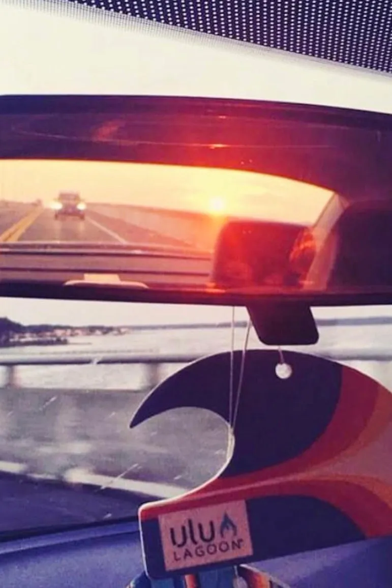 Wave Air Freshener