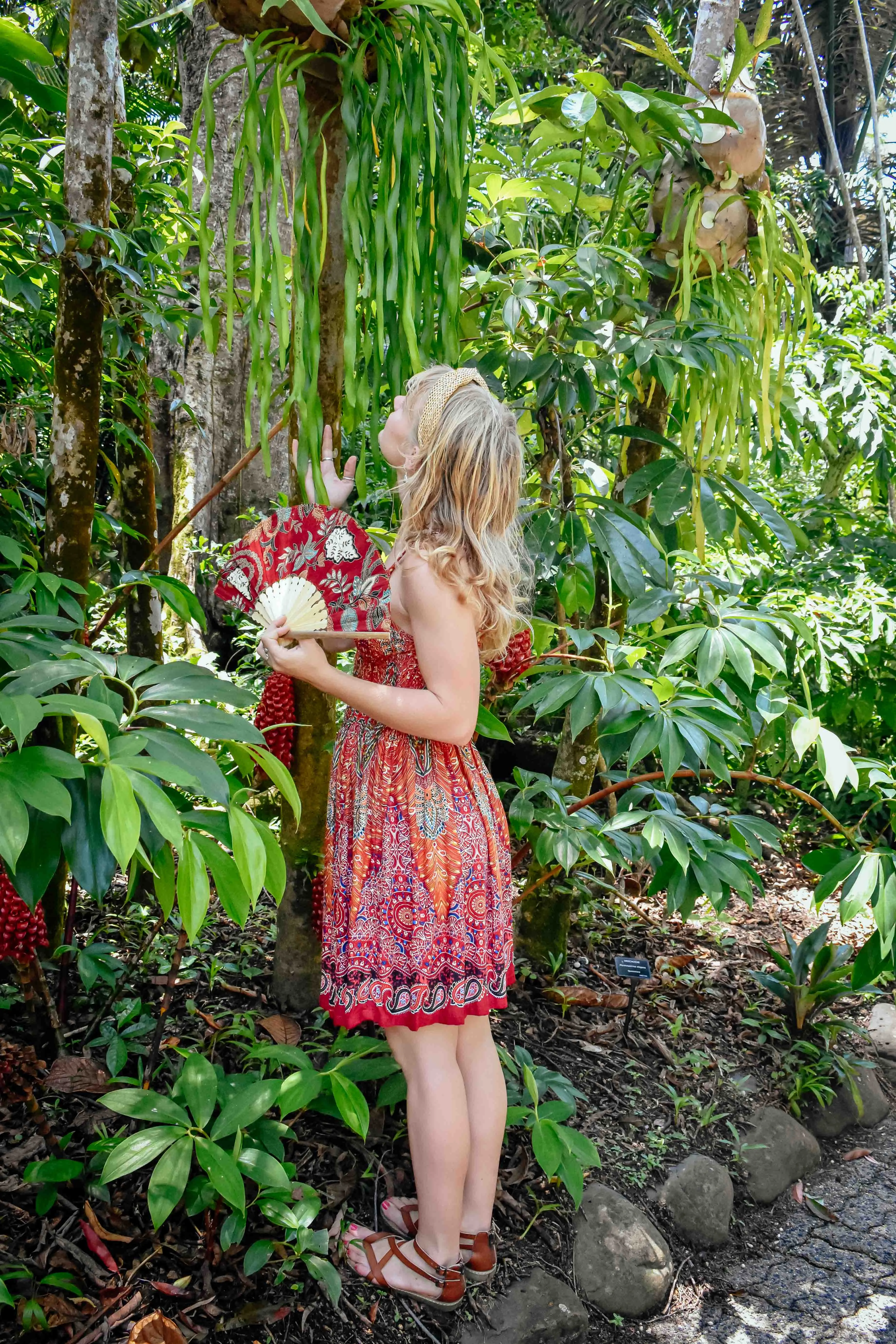 Zest Short Dress - New World Red